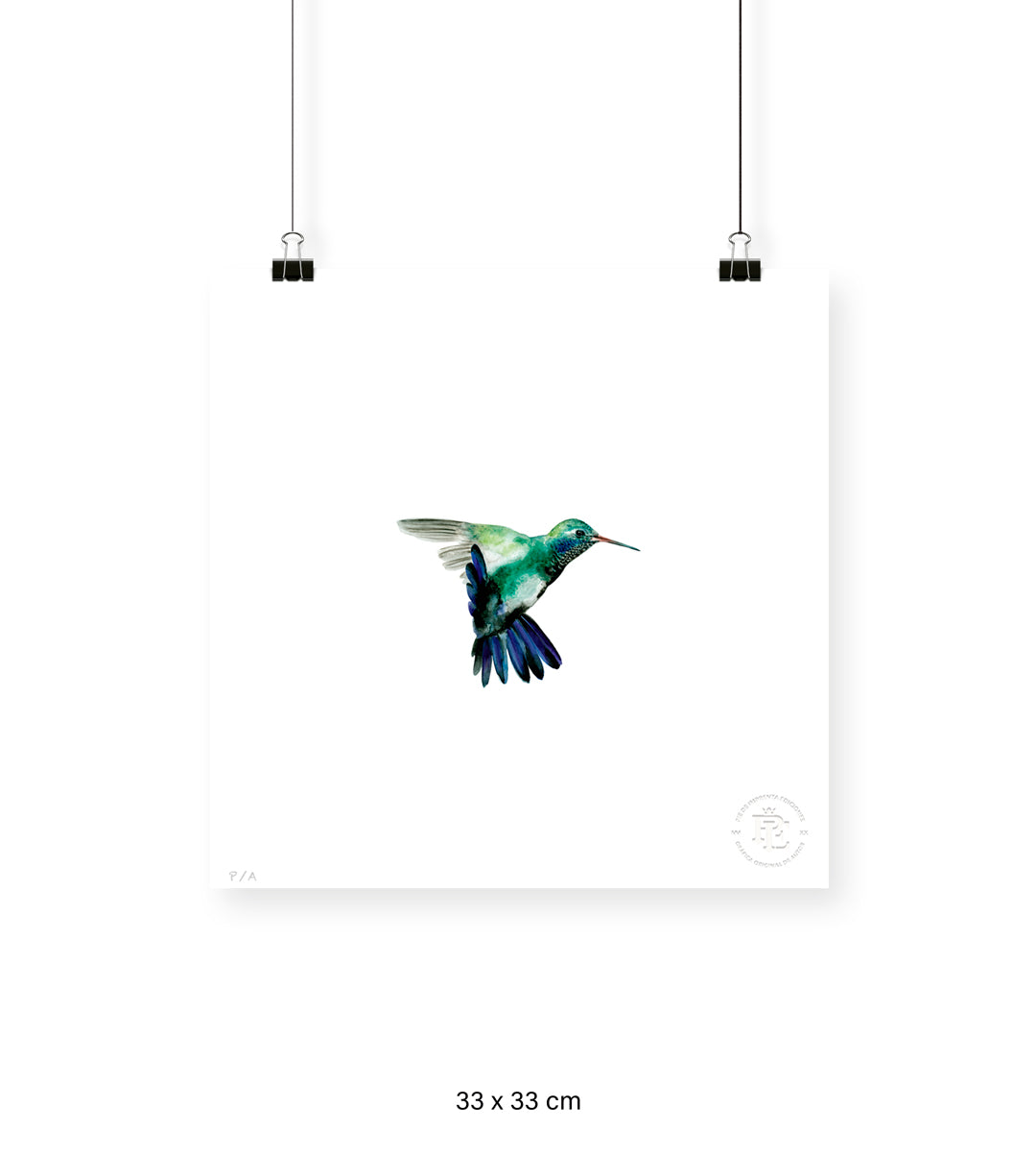 Colibrí Azúl  - 33 x 33 cm