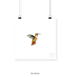 Colibrí Ocre - 33 x 33 cm