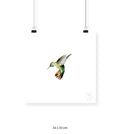 Colibrí Verde - 33 x 33 cm