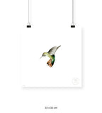 Colibrí Verde - 33 x 33 cm