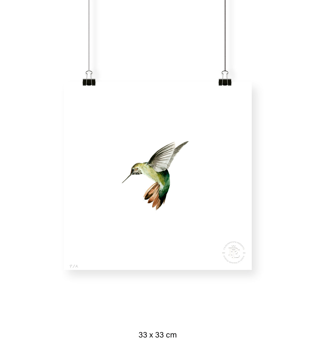 Colibrí Verde - 33 x 33 cm