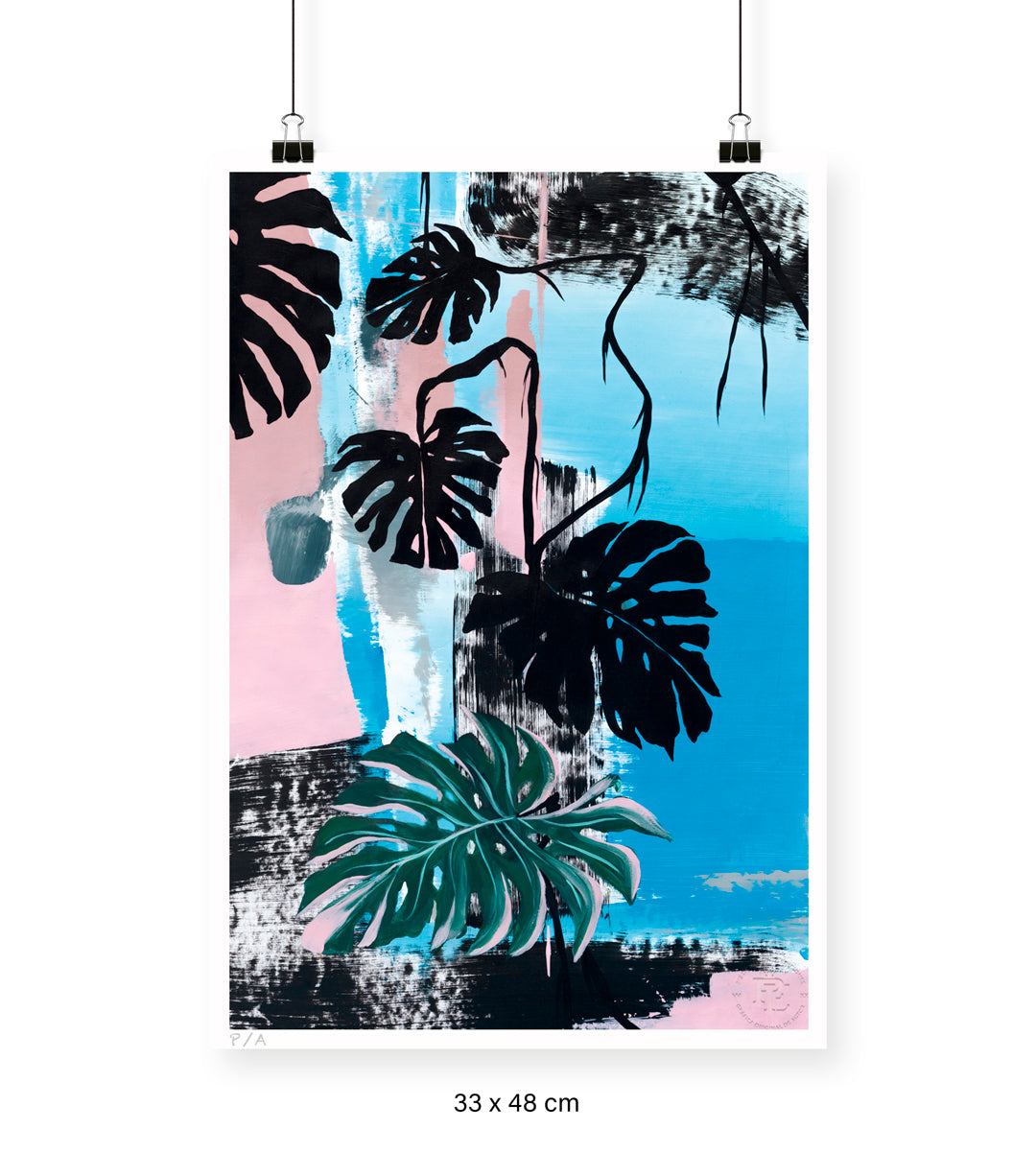 Monstera Deliciosa - 33 x 48 cm