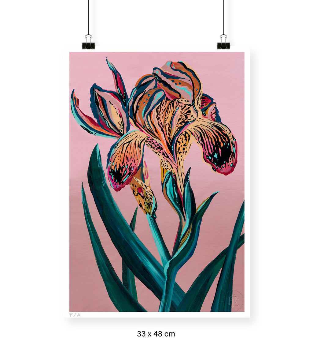 Orquídea Tigre - 33 x 48 cm