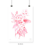 Florecer Agradecer I - 33 x 48 cm