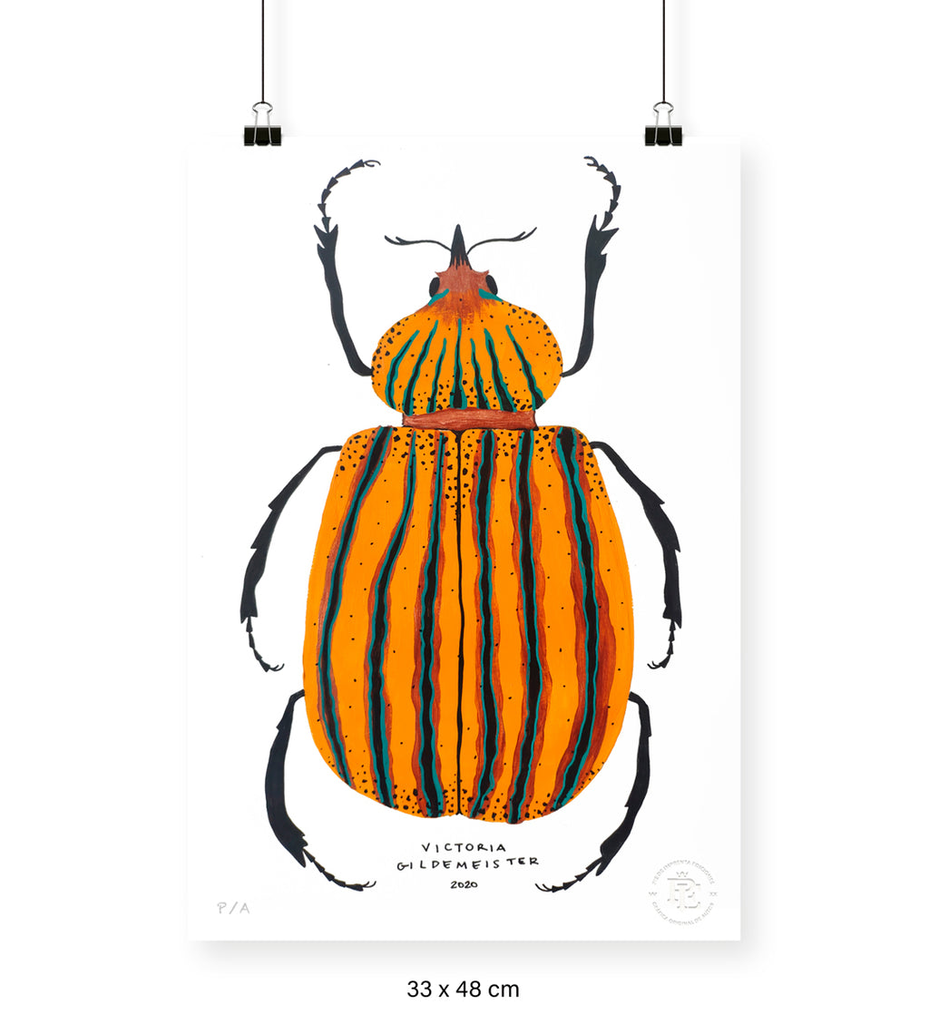 Escarabajo Amarillo - 33 x 48 cm