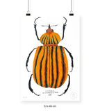 Escarabajo Amarillo - 33 x 48 cm