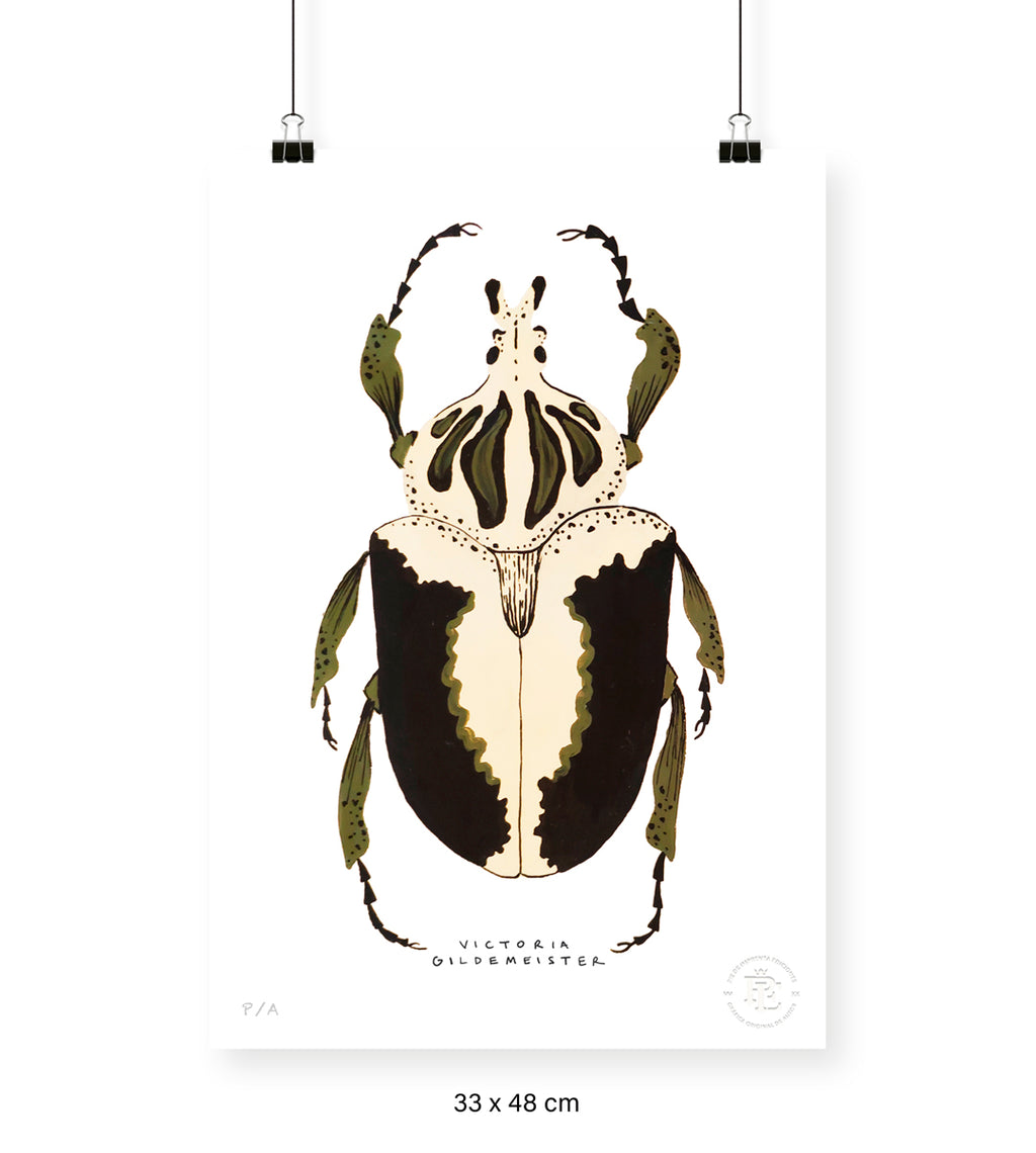 Escarabajo Crema & Negro - 33 x 48 cm