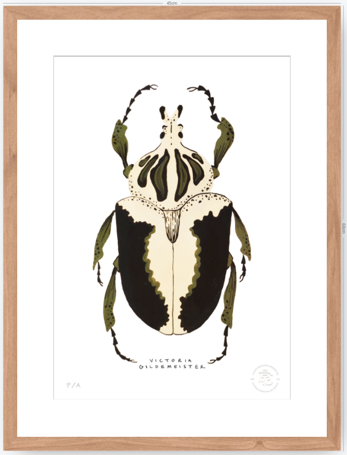 Escarabajo Crema & Negro - 33 x 48 cm