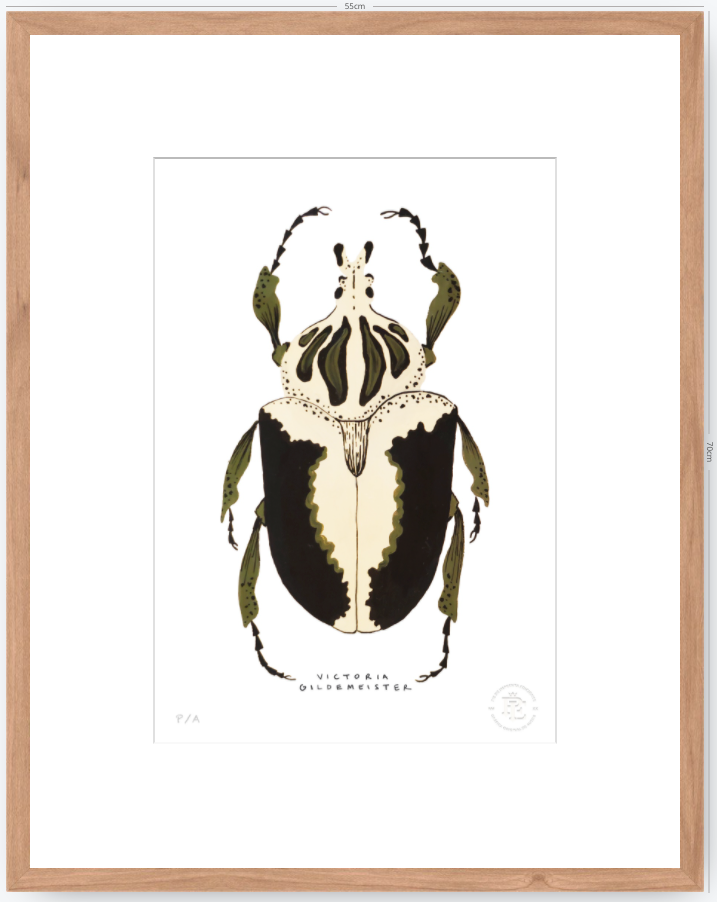 Escarabajo Crema & Negro - 33 x 48 cm