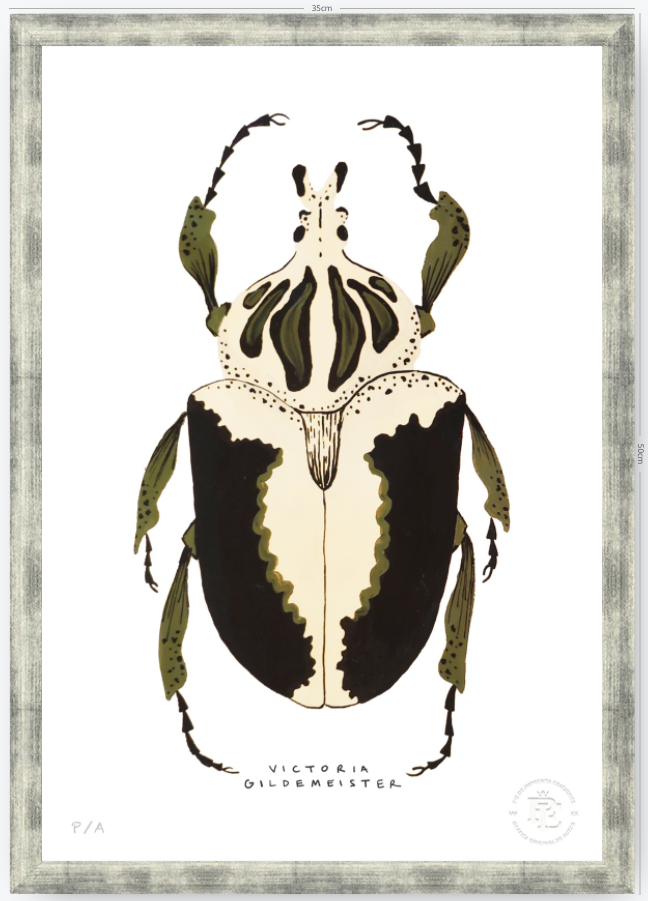 Escarabajo Crema & Negro - 33 x 48 cm
