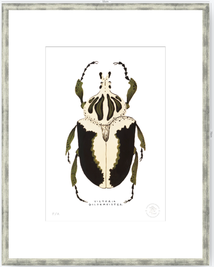 Escarabajo Crema & Negro - 33 x 48 cm