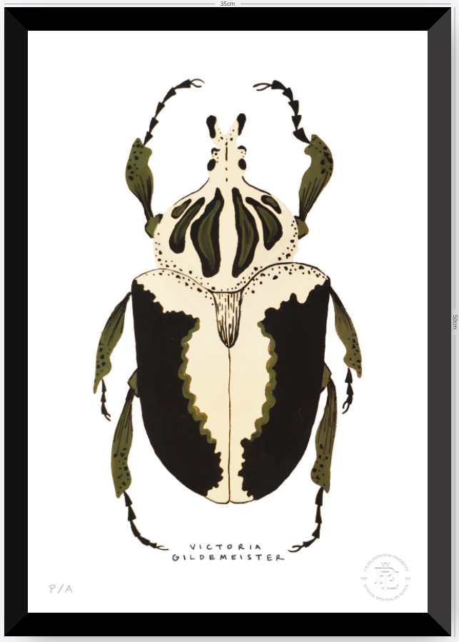 Escarabajo Crema & Negro - 33 x 48 cm