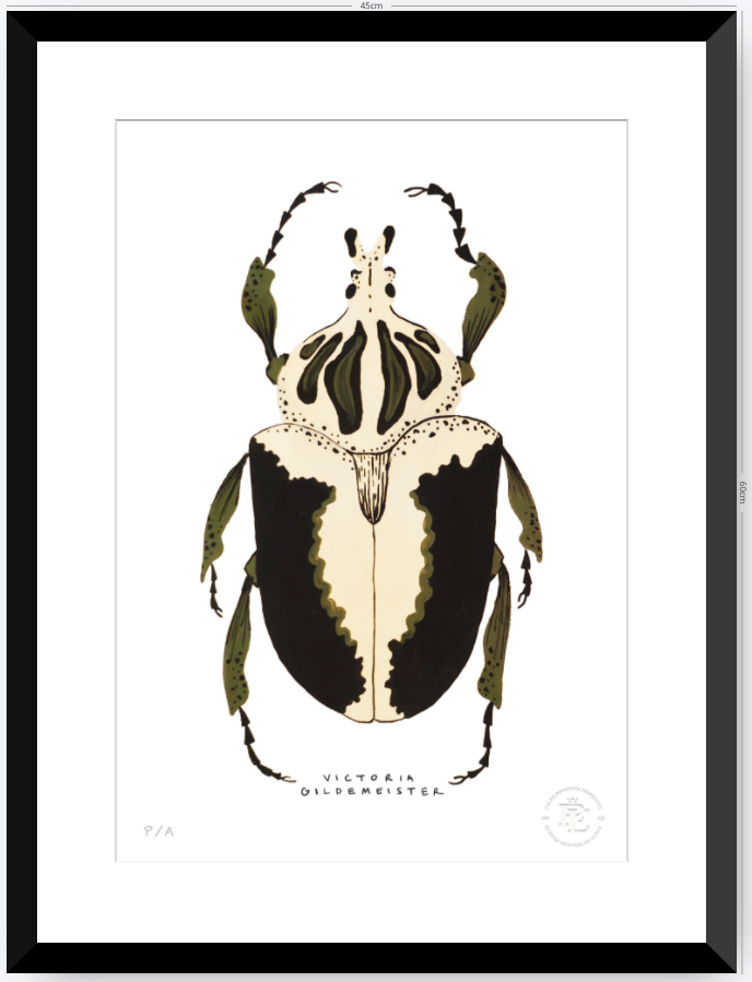 Escarabajo Crema & Negro - 33 x 48 cm
