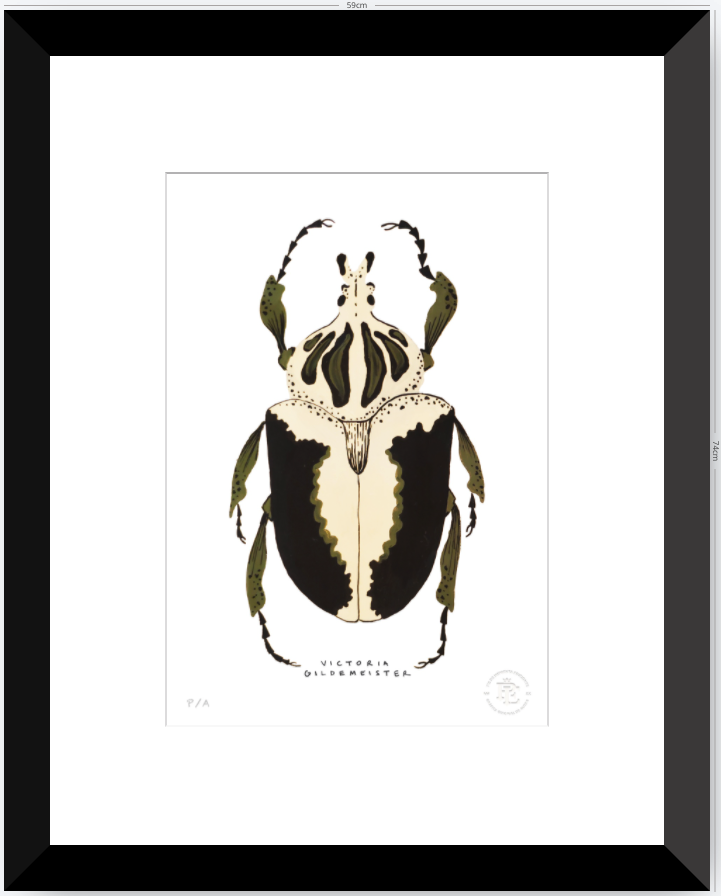 Escarabajo Crema & Negro - 33 x 48 cm