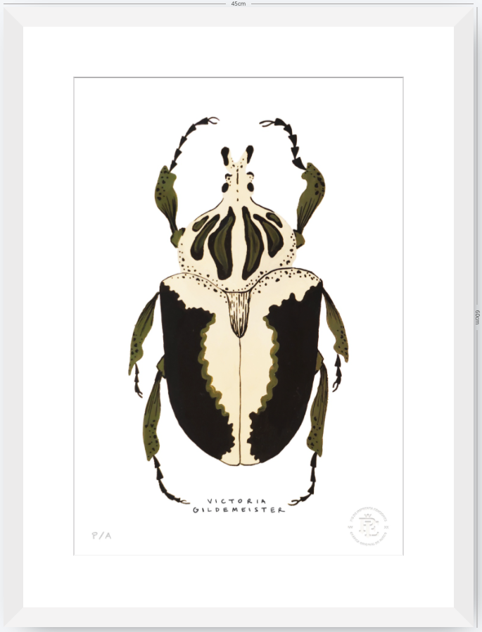 Escarabajo Crema & Negro - 33 x 48 cm