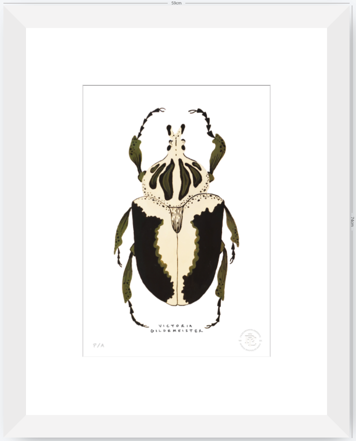 Escarabajo Crema & Negro - 33 x 48 cm