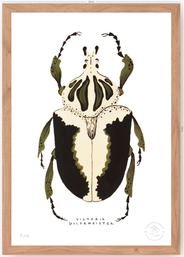 Escarabajo Crema & Negro - 33 x 48 cm