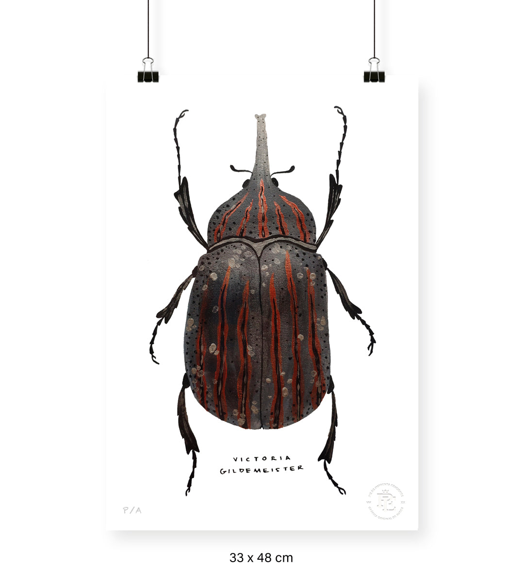 Escarabajo Grafito - 33 x 48 cm
