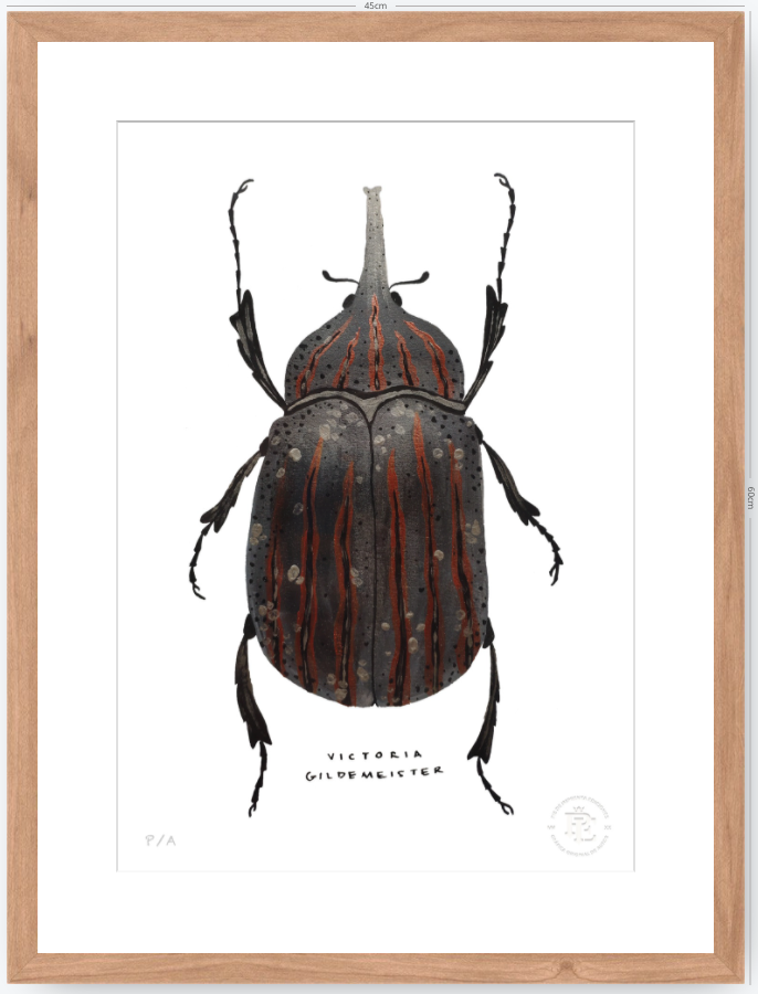 Escarabajo Grafito - 33 x 48 cm