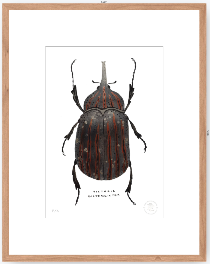 Escarabajo Grafito - 33 x 48 cm