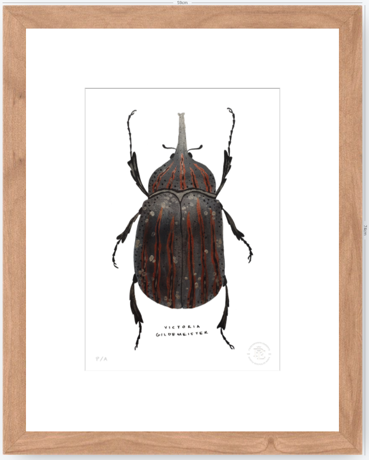 Escarabajo Grafito - 33 x 48 cm