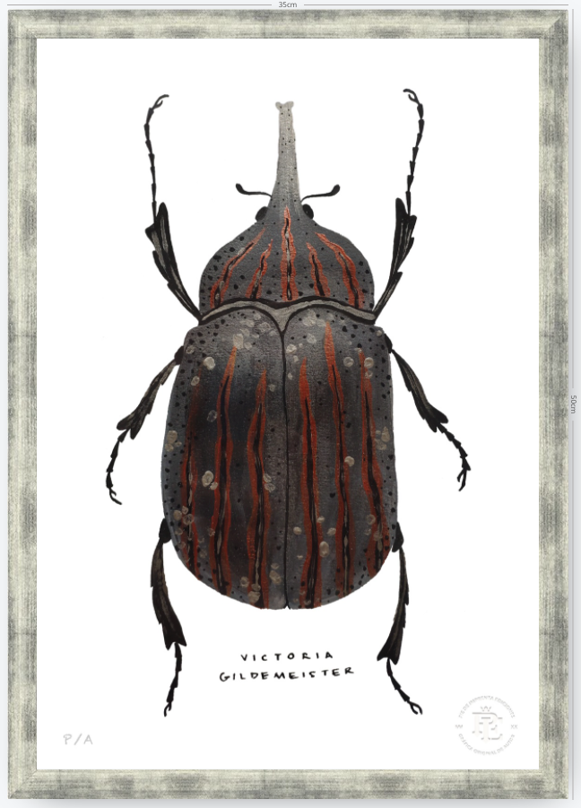 Escarabajo Grafito - 33 x 48 cm