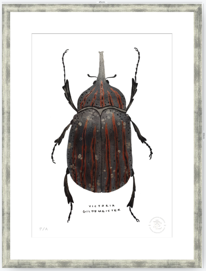 Escarabajo Grafito - 33 x 48 cm