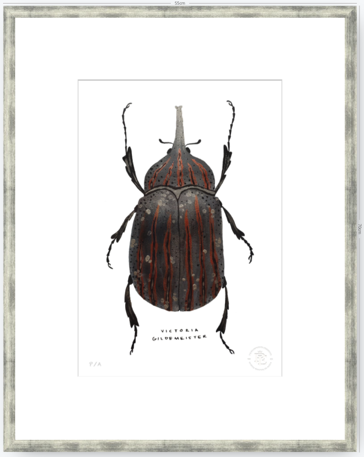 Escarabajo Grafito - 33 x 48 cm