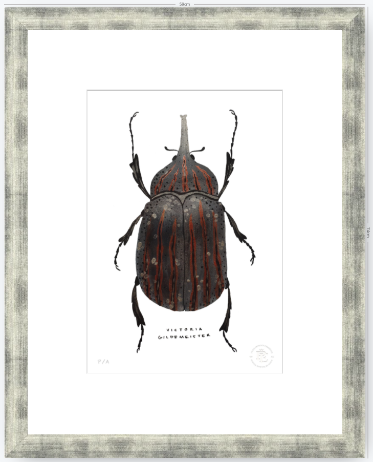 Escarabajo Grafito - 33 x 48 cm
