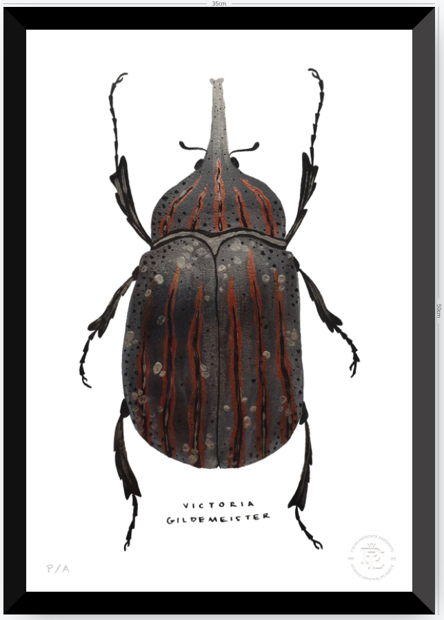 Escarabajo Grafito - 33 x 48 cm