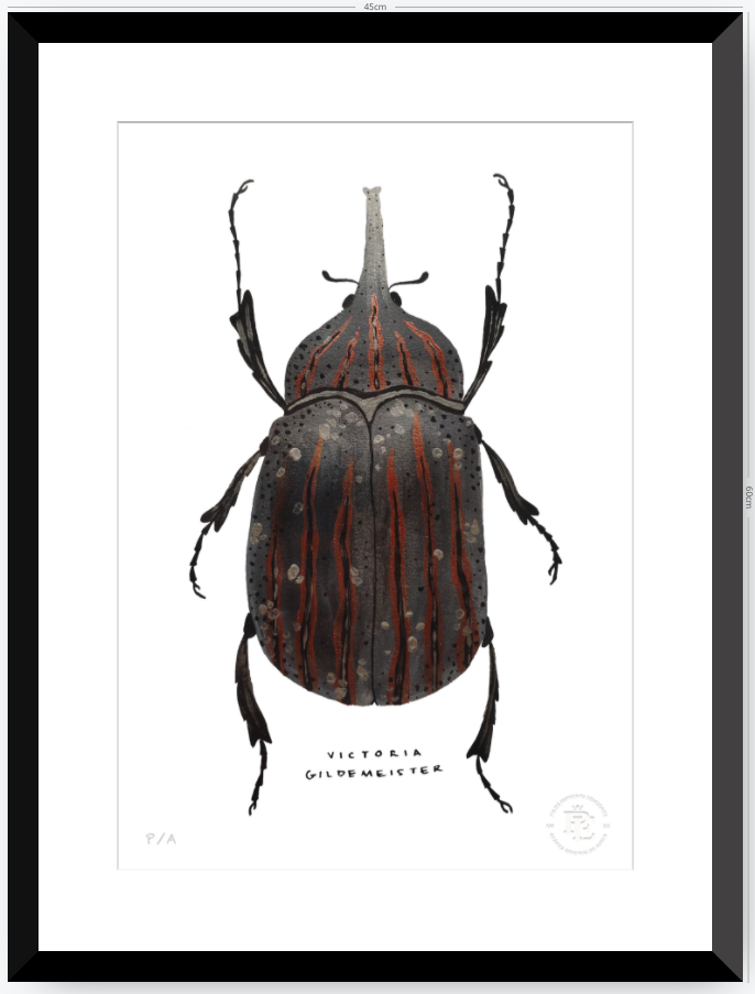 Escarabajo Grafito - 33 x 48 cm