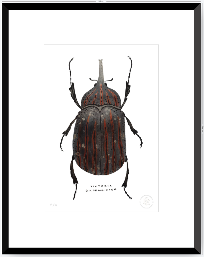 Escarabajo Grafito - 33 x 48 cm