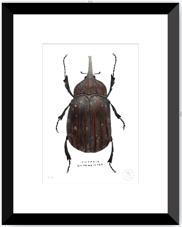 Escarabajo Grafito - 33 x 48 cm