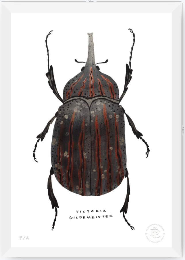 Escarabajo Grafito - 33 x 48 cm