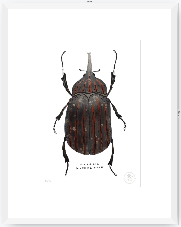 Escarabajo Grafito - 33 x 48 cm