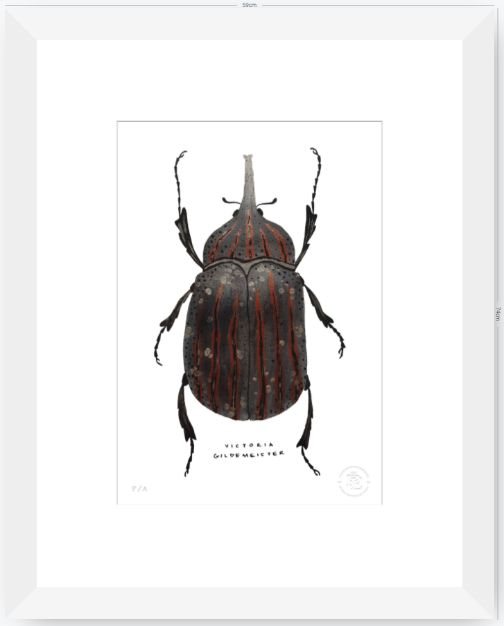 Escarabajo Grafito - 33 x 48 cm