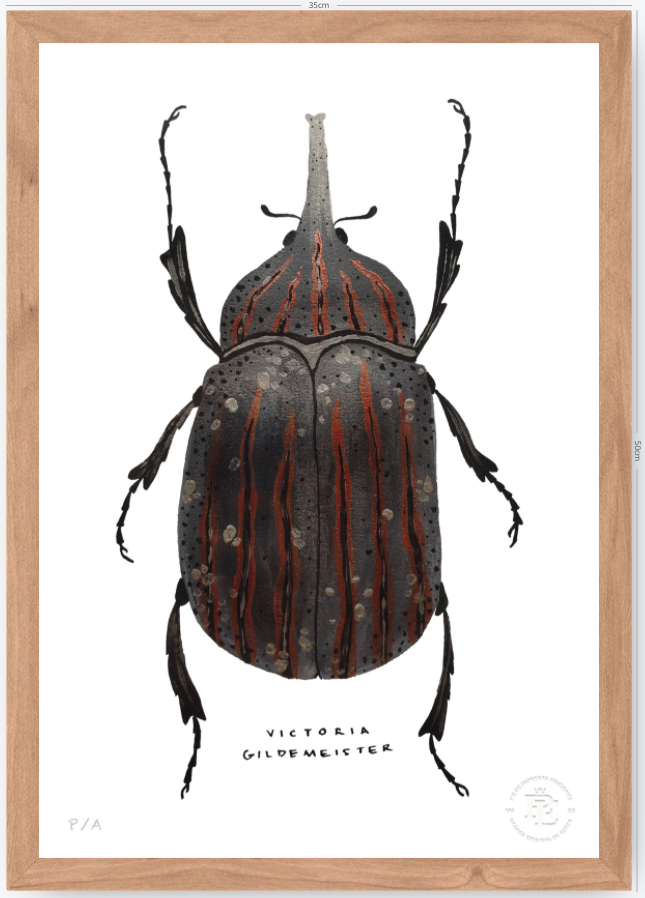 Escarabajo Grafito - 33 x 48 cm