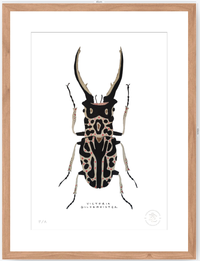 Escarabajo Macho - 33 x 48 cm