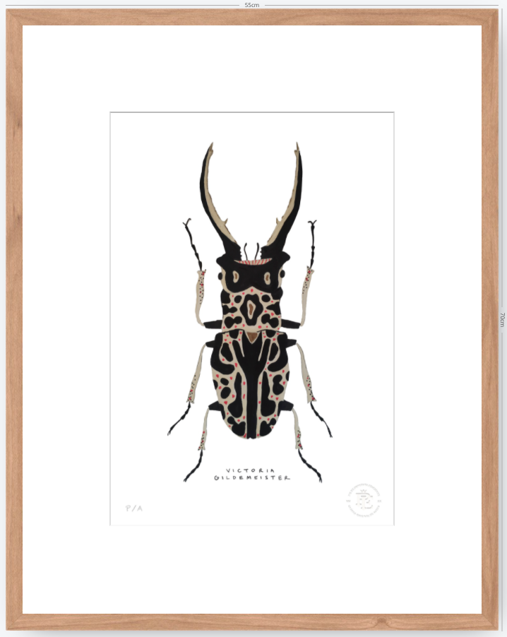 Escarabajo Macho - 33 x 48 cm