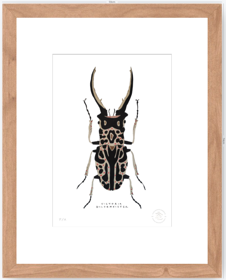 Escarabajo Macho - 33 x 48 cm