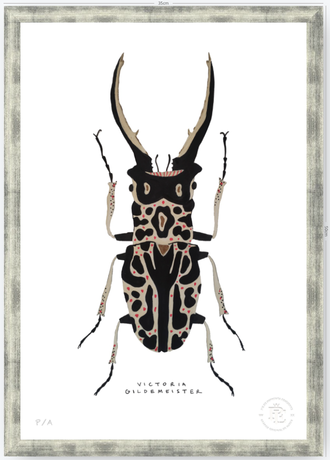 Escarabajo Macho - 33 x 48 cm