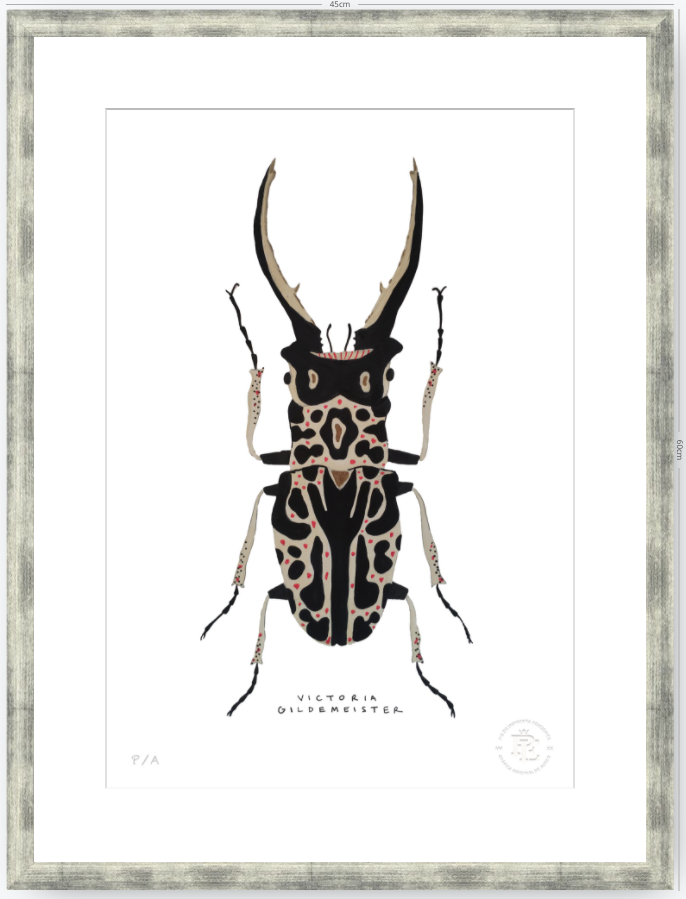 Escarabajo Macho - 33 x 48 cm