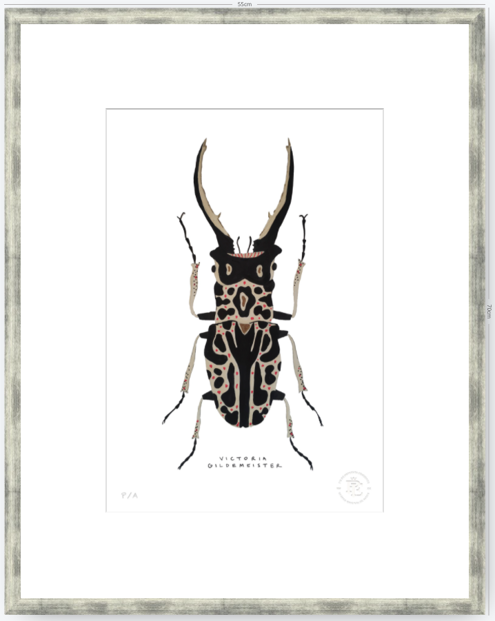 Escarabajo Macho - 33 x 48 cm
