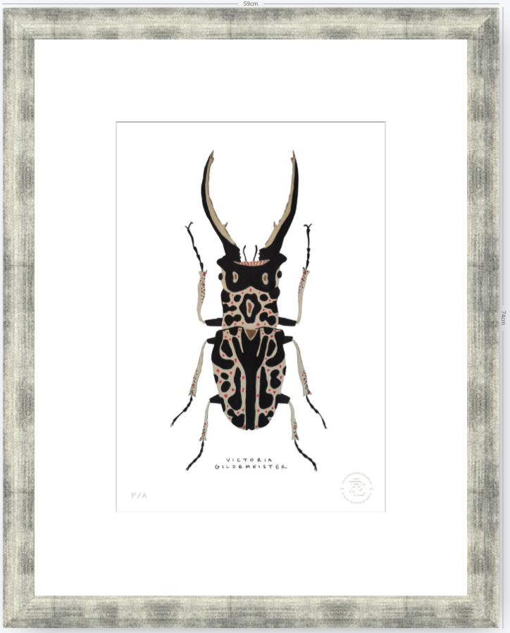 Escarabajo Macho - 33 x 48 cm