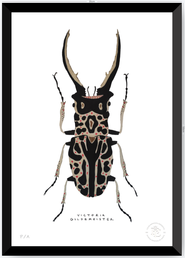 Escarabajo Macho - 33 x 48 cm