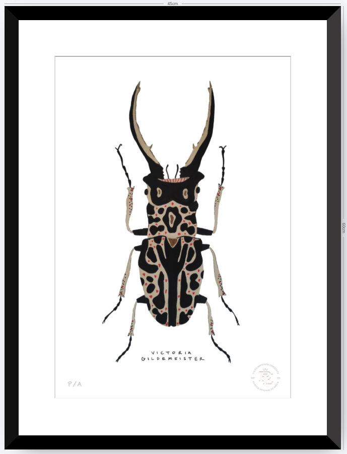 Escarabajo Macho - 33 x 48 cm