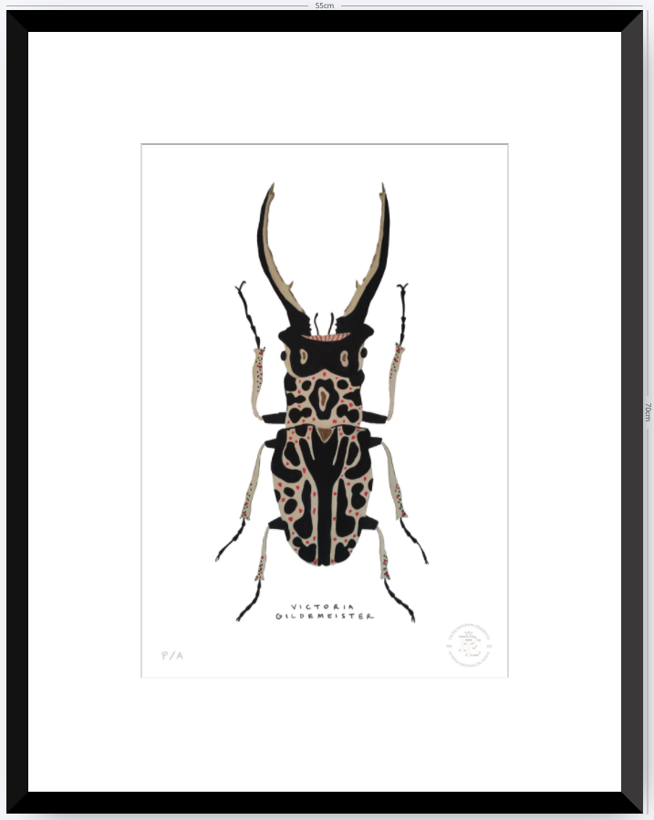Escarabajo Macho - 33 x 48 cm