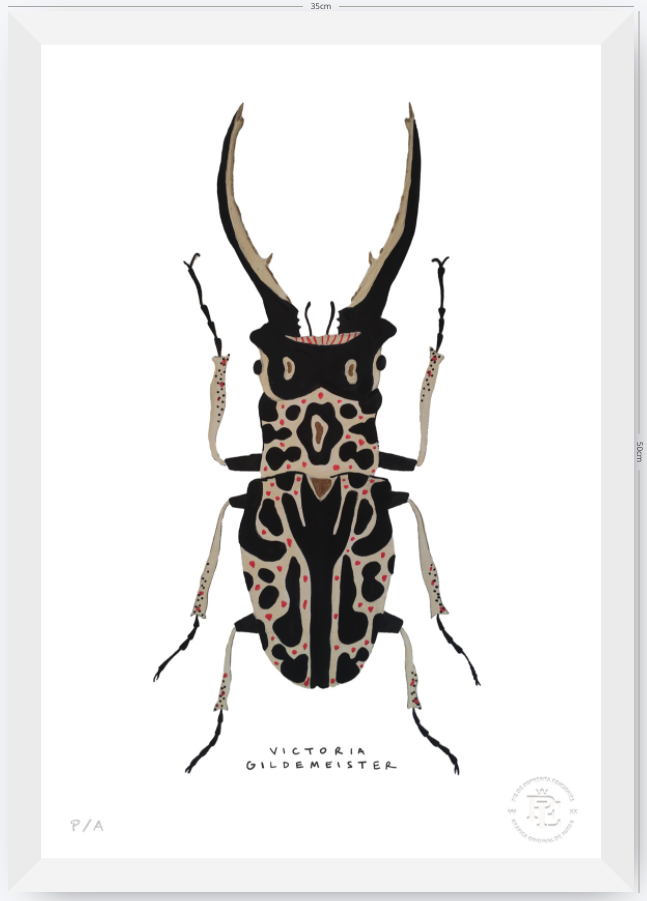 Escarabajo Macho - 33 x 48 cm
