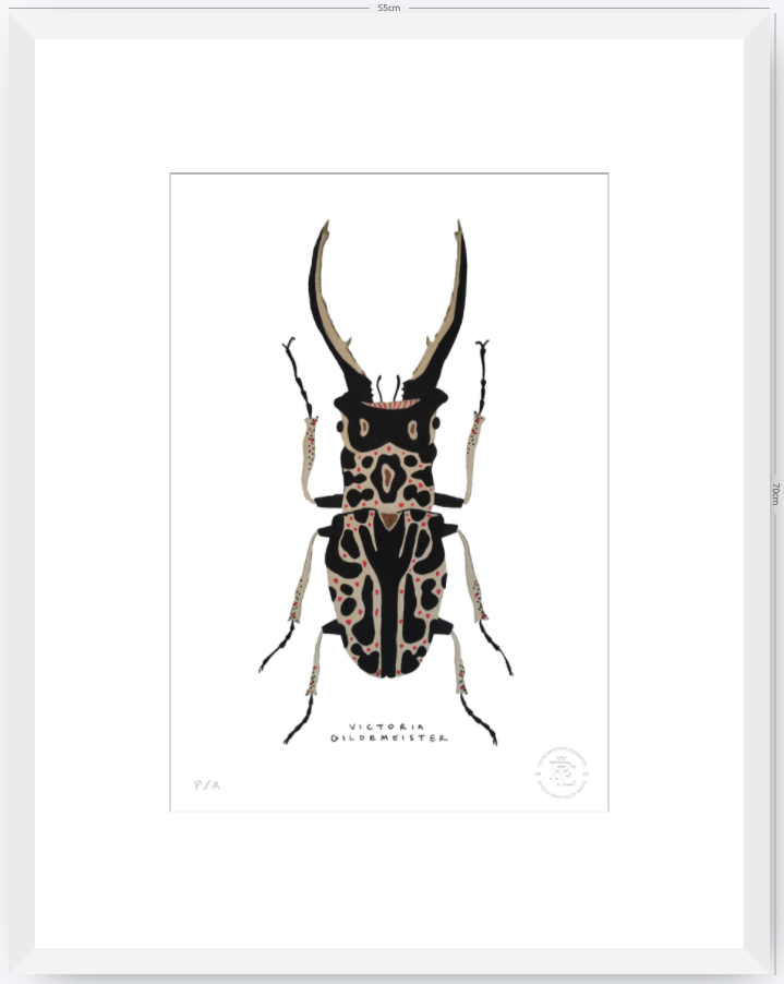 Escarabajo Macho - 33 x 48 cm