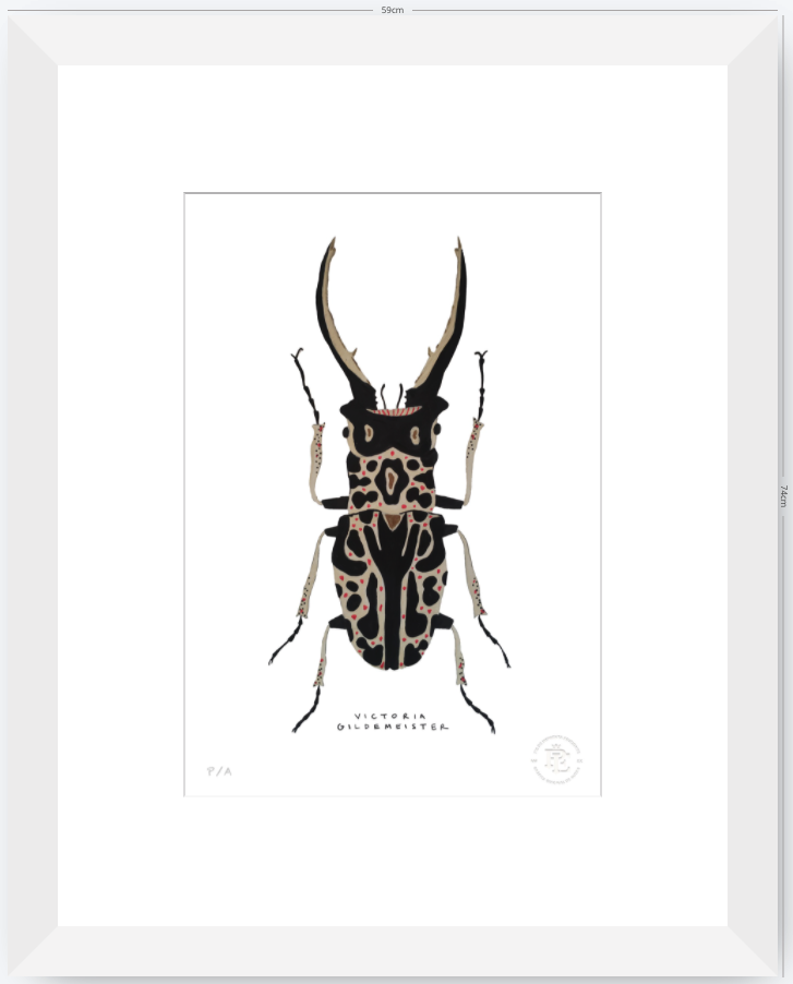 Escarabajo Macho - 33 x 48 cm